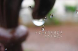 开云sport-赤道闪电撕裂非洲雄狮，2026世界杯B组焦点战，厄瓜多尔横扫喀麦隆，苏亚雷斯以一人之力定义比赛