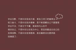 开云体育登录-沙漠与安第斯的终章，莫德里奇用左脚写就的2026童话，逆转的不只是比分，还有命运