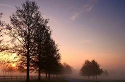 开云体育官网-冰与火之歌，当丹麦的冷战术轻取克罗地亚，凯恩如何用一簇火焰点燃赛场之夜