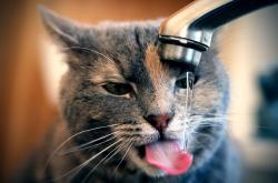 开云体育APP下载-终场绝响！安哥拉逆袭佛罗伦萨，基米希加冕关键先生 一记压哨绝杀改写历史，无名小卒变身国家英雄