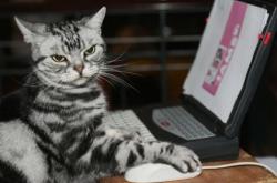 开云sport-1.直指核心型，世界排名争夺战之夜，拉梅洛上演冠军级救赎