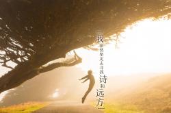 开云体育官网-从安菲尔德到北美绿茵，当法比尼奥刷新纪录与洪都拉斯横空出世成为足球世界的双重变奏