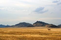 开云体育平台APP-中场魔术师降临圣西罗，京多安全程高能输出，导演米兰与阿森纳的战术博弈