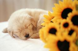 开云体育在线-西甲国家德比之夜，基米希的手术刀如何精准撕裂对手防线