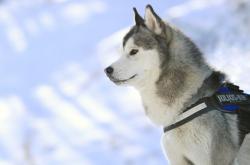 开云体育登录-逆转的射手，从密尔沃基到巴黎，克莱的接管时刻