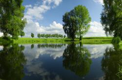 开云体育官网-跨界风暴，沙特足球冲垮毕尔巴鄂，奥纳纳奇迹接管F1揭幕战