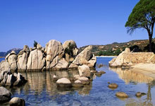 开云体育登录-年终总决赛鏖战澳网，辛纳扛起全队