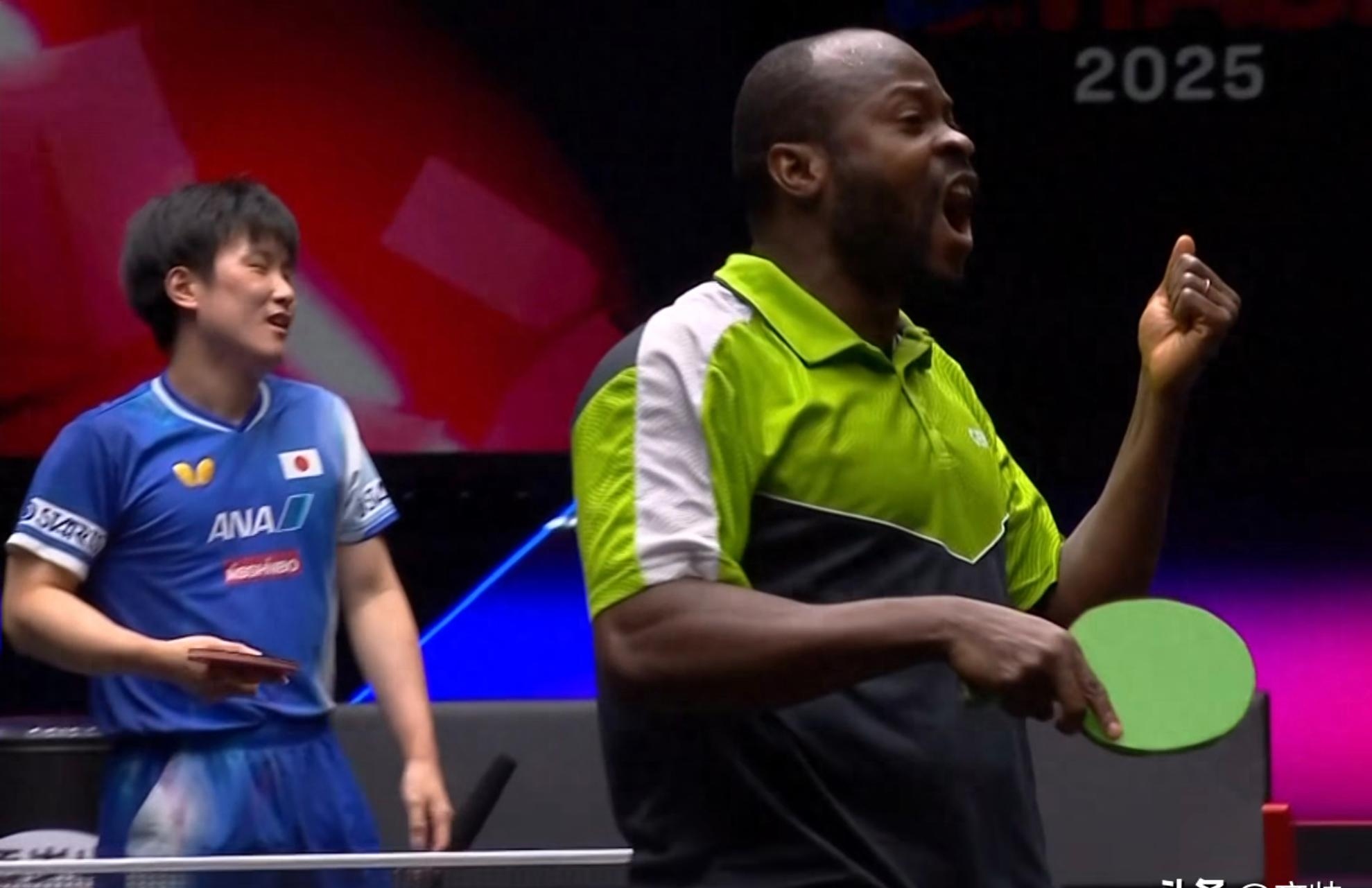 法国乒乓球队绝地反击中国乒乓球队，张本智和送出助攻的简单介绍