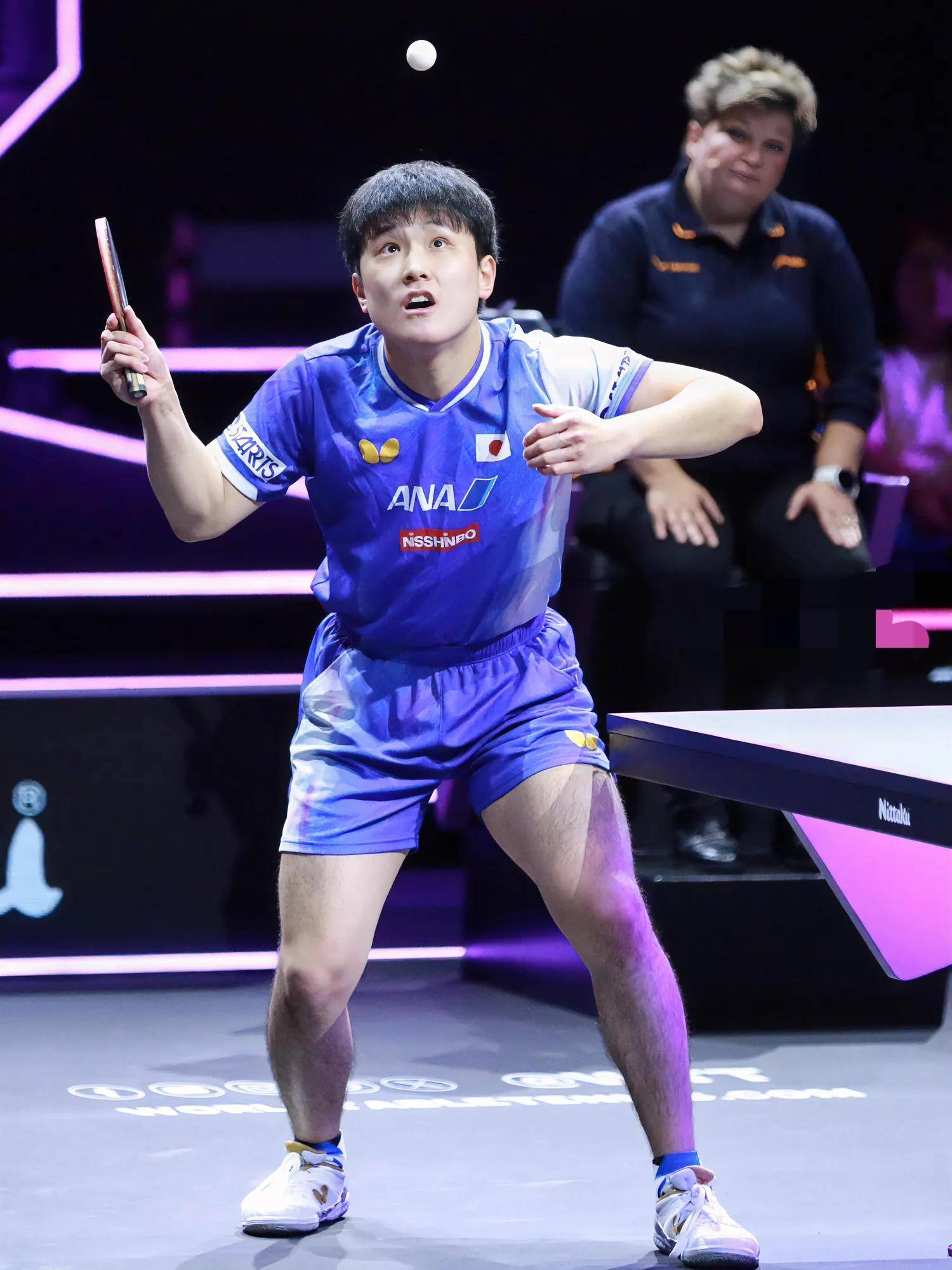 法国乒乓球队绝地反击中国乒乓球队，张本智和送出助攻的简单介绍