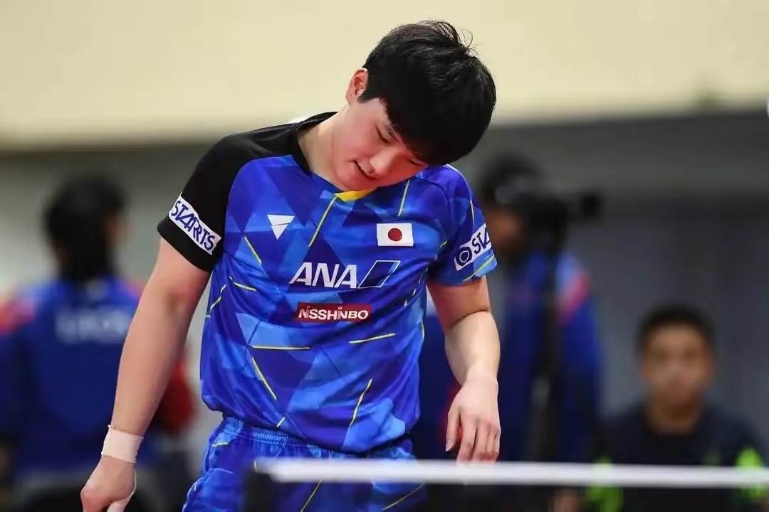 包含韩国乒乓球队翻盘波兰乒乓球队,张本智和关键制胜的词条 包含韩国乒乓球队翻盘波兰乒乓球队,张本智和关键制胜的词条