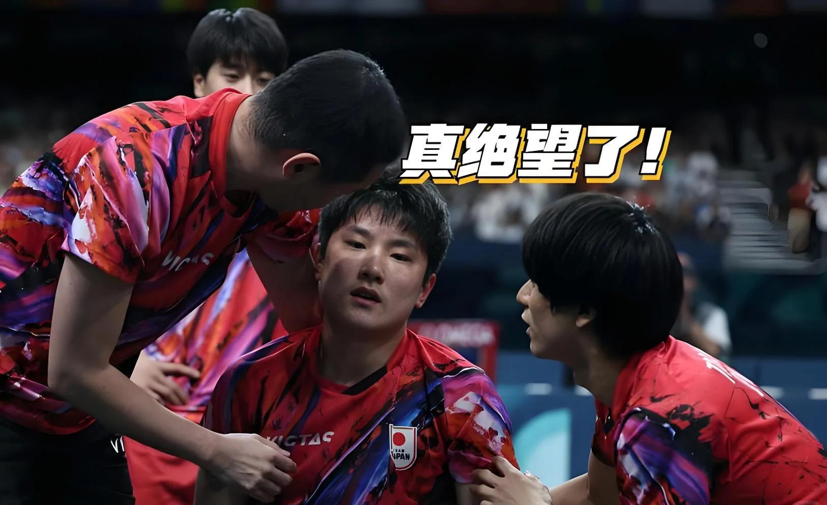 比利时乒乓球队险胜英国乒乓球队，张本智和绝境逆转