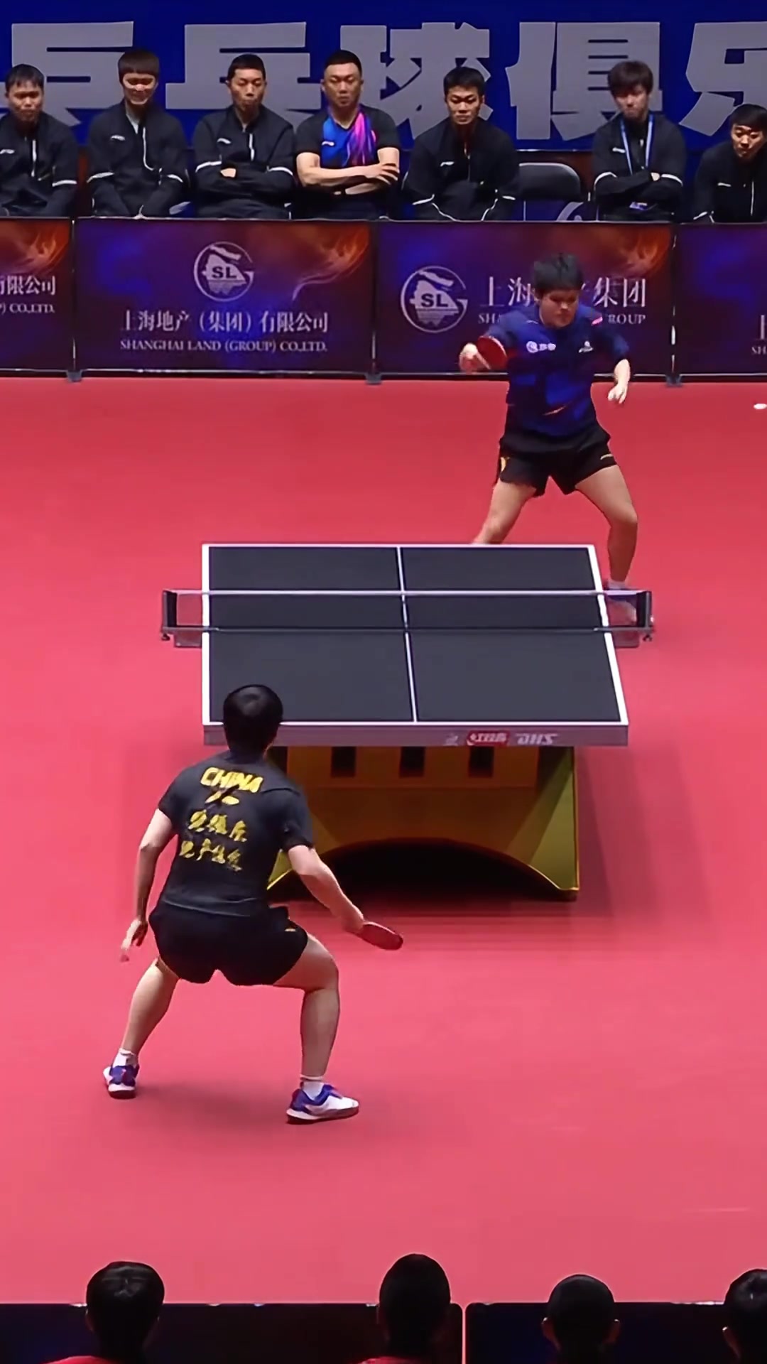 韩国乒乓球队横扫法国乒乓球队，樊振东制霸全场