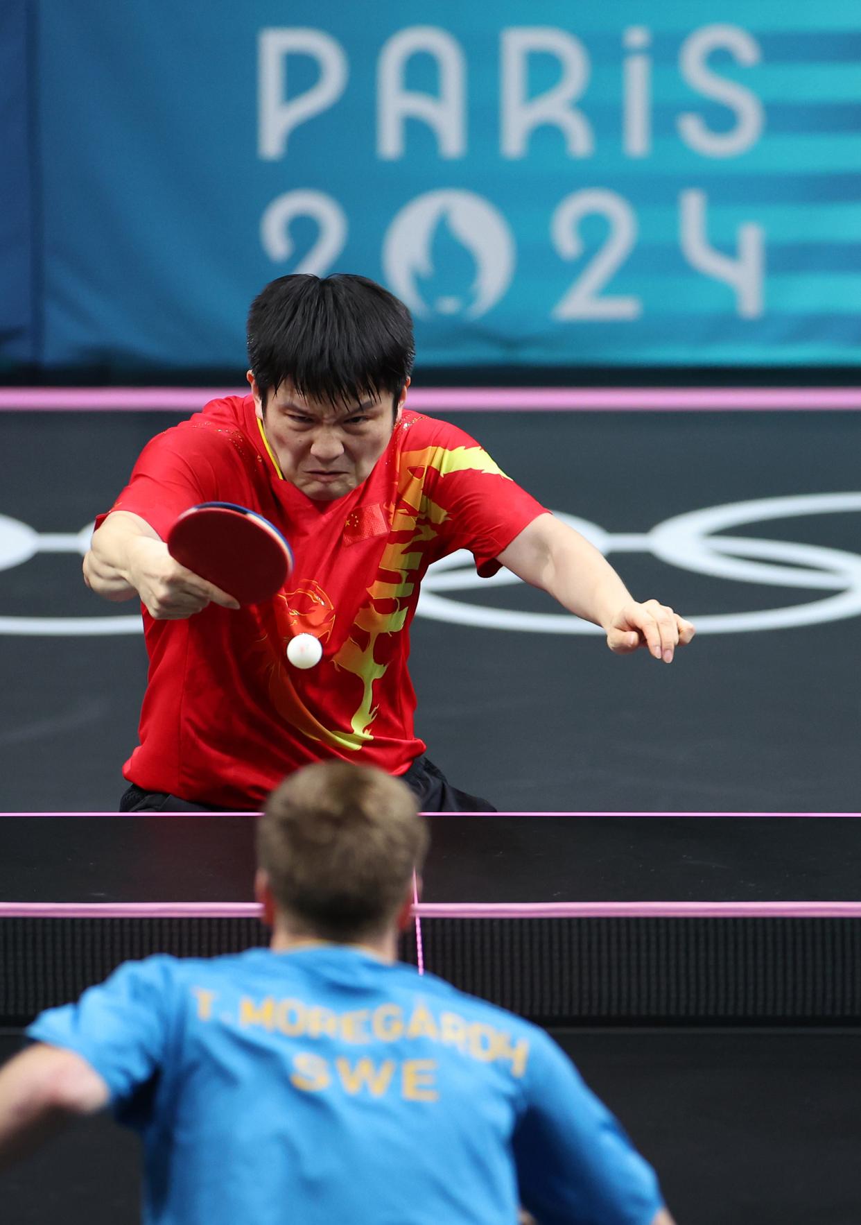 日本队完胜中国队，樊振东高光表现