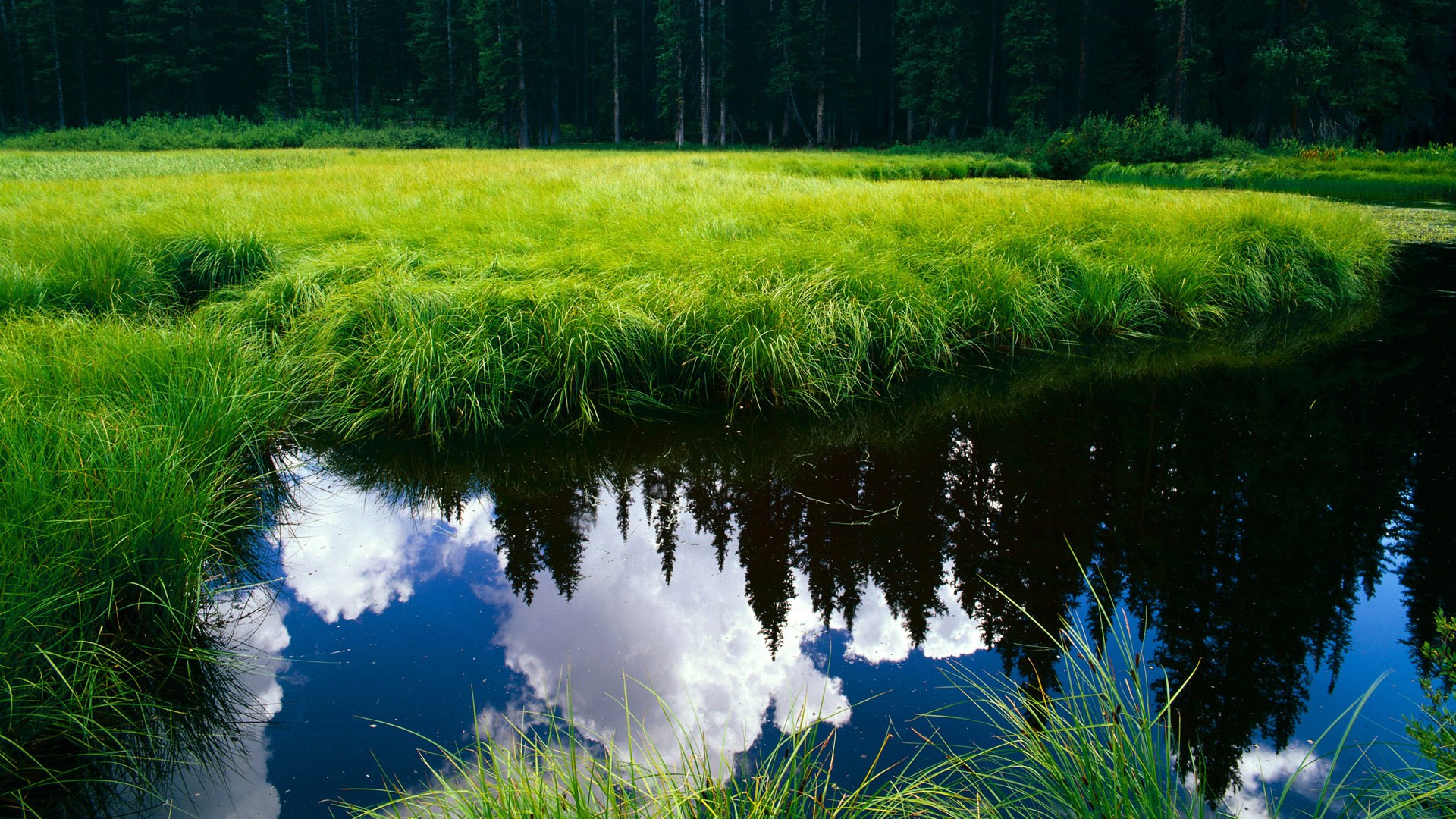 绿茵场与乒乓桌的共振，当葡萄牙队力克奥地利，林高远带队取胜