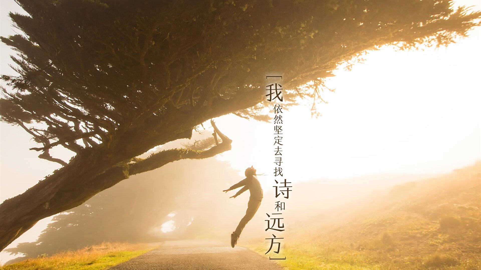 从安菲尔德到北美绿茵,当法比尼奥刷新纪录与洪都拉斯横空出世成为足球世界的双重变奏