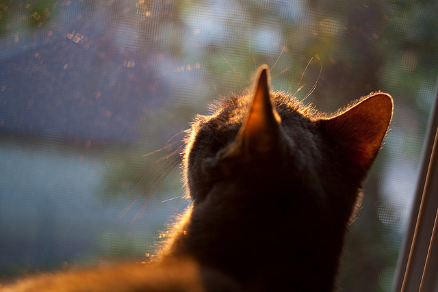 格纳布里一锤定音！加纳友谊赛力克雷恩，拜仁尖刀化身关键先生