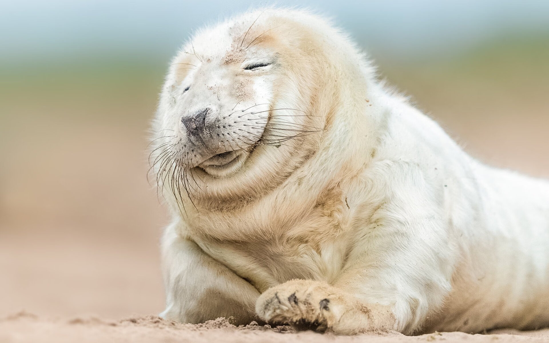 格纳布里一锤定音！加纳友谊赛力克雷恩，拜仁尖刀化身关键先生