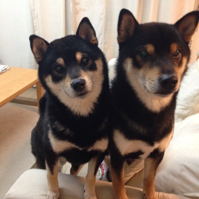 防线拆解狂想曲，当布雷默在伊蒂哈德上演爆裂演出