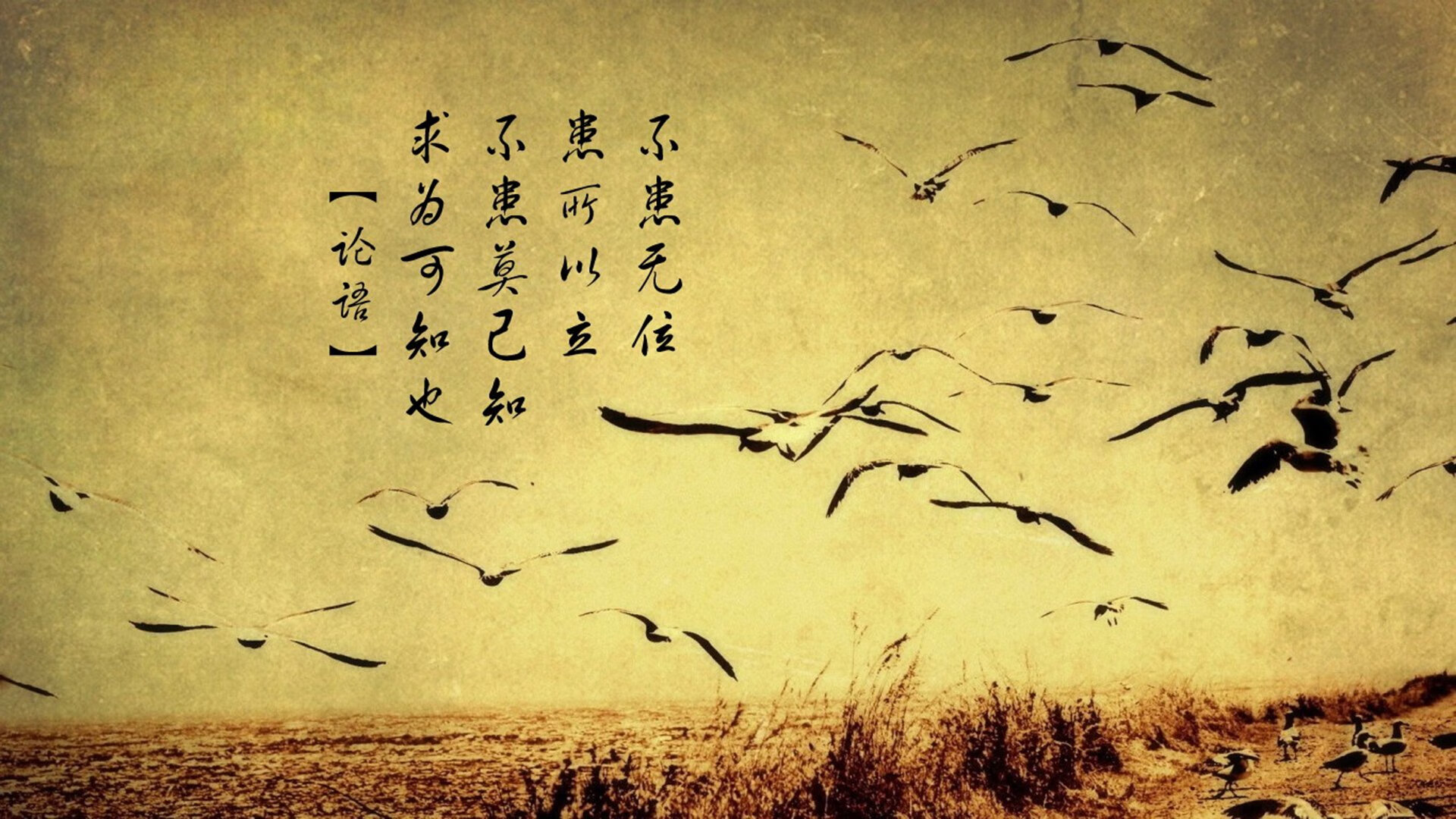 三组镜头,解码英格拉姆的意甲焦点夜