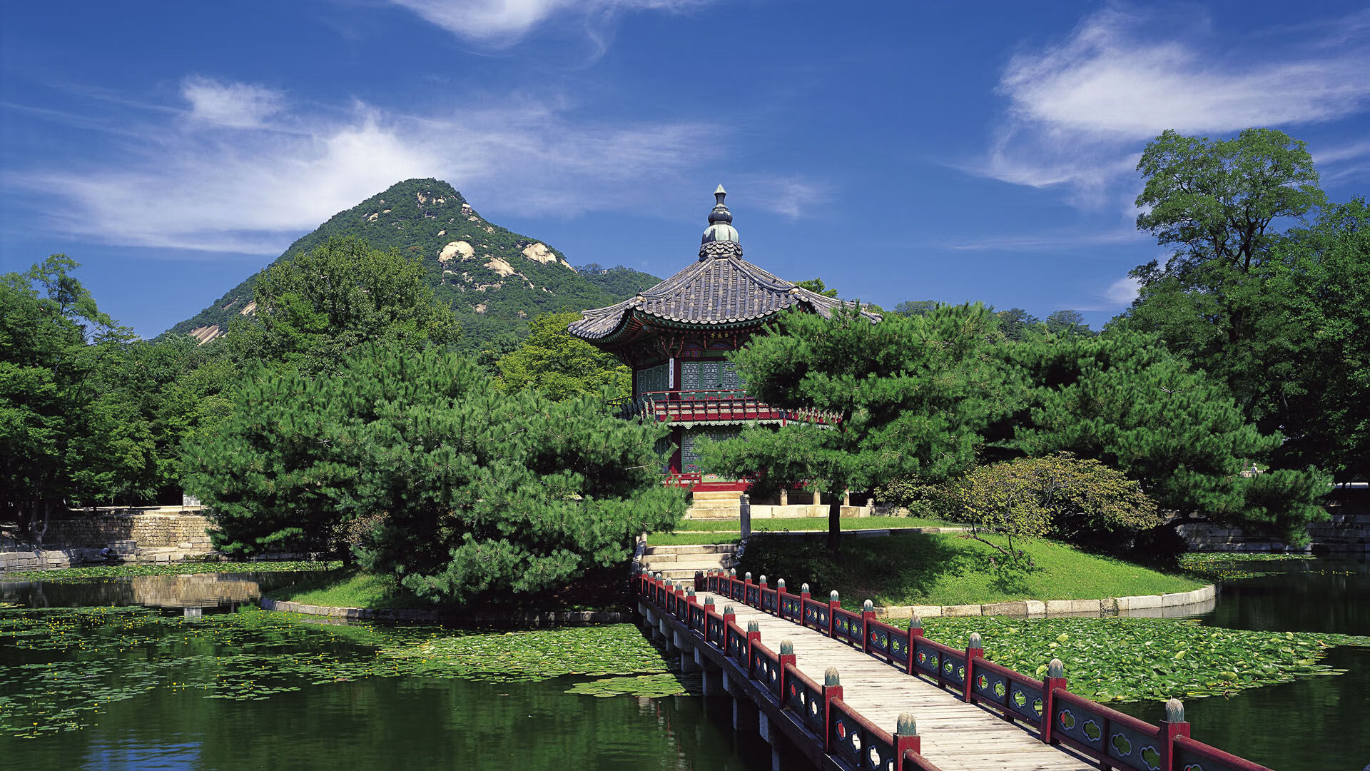 当萨内接管欧冠决赛时,为何曼联却带走了英格兰?足球历史的暗线与唯一答案