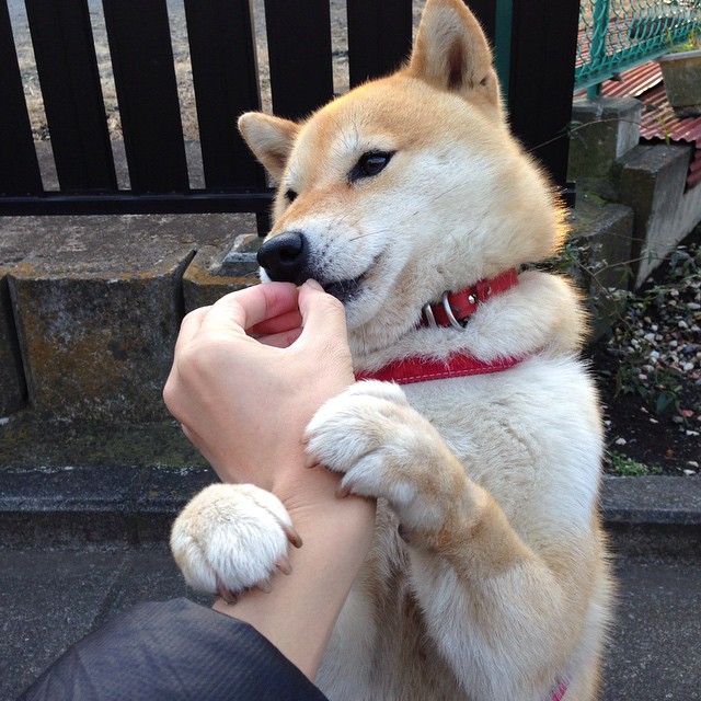 当宇宙坍塌于独行侠的指尖,辽篮之夜与库里数据背后的唯一性哲学