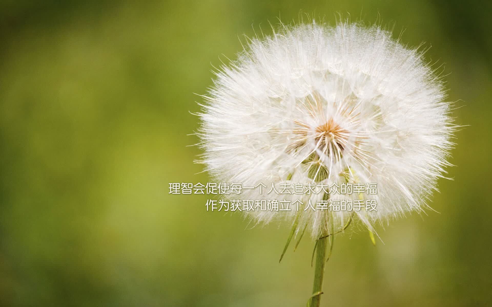 独步天下—2026世界杯C组生死战,京多安导演完美复仇,喀麦隆铁血防反埋葬匈牙利