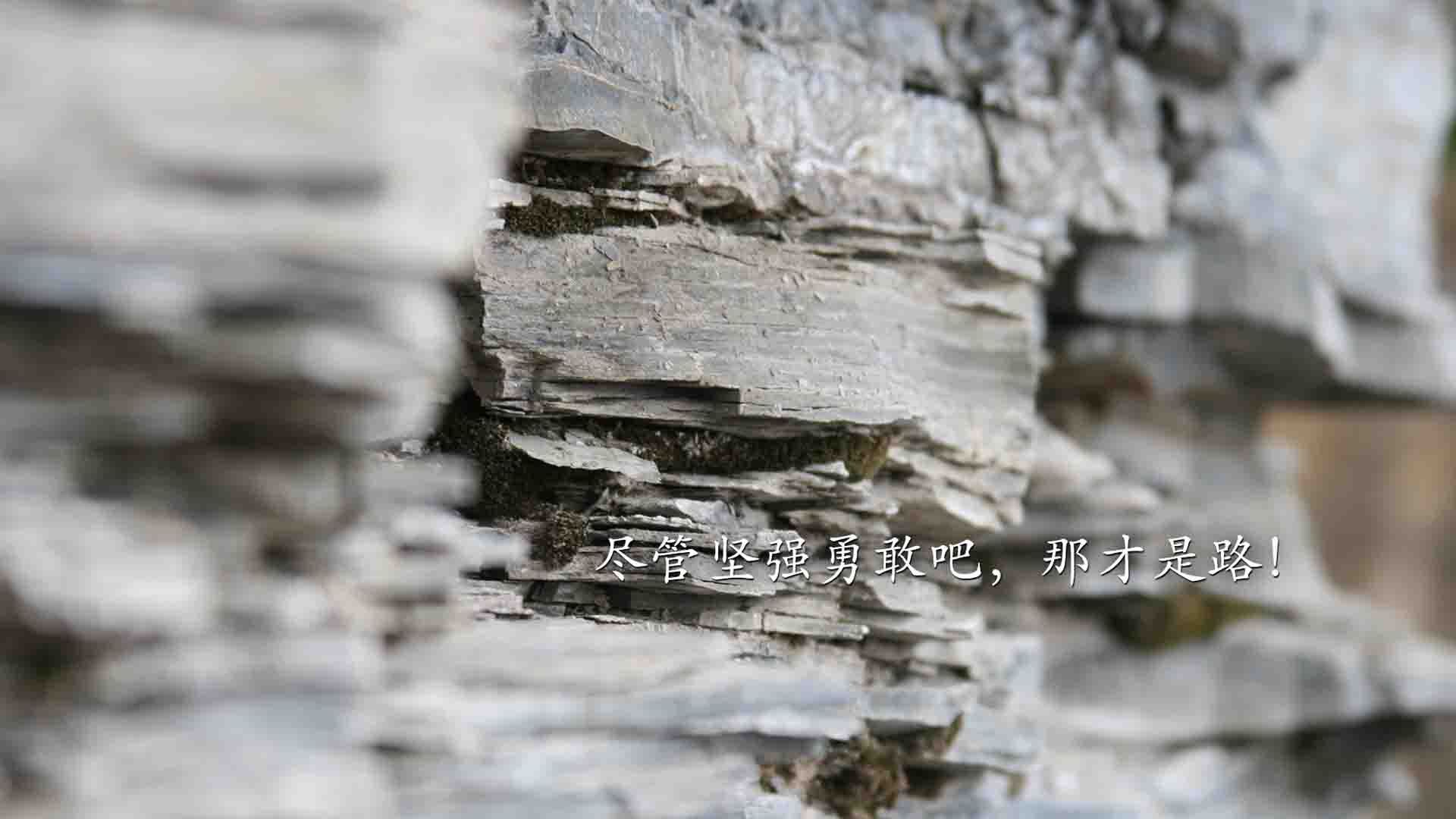 致命一击的黄昏,当齐耶赫的弧线划破巴西的完美剧本