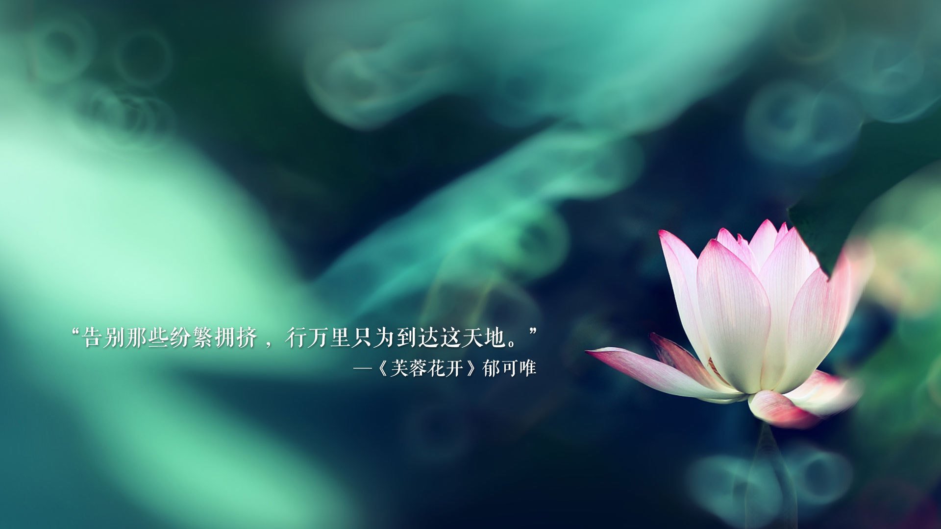 一球定乾坤，佩德里导演丝绒革命，斯洛伐克用一场胜利重写新大陆的足球叙事